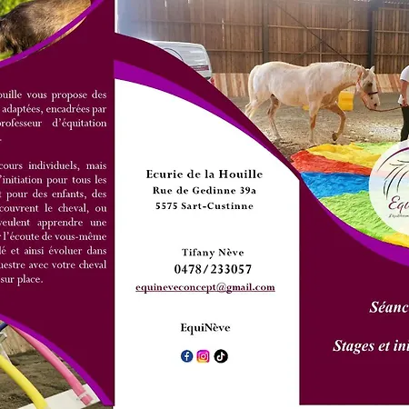 Le Relais De La Houille 펜션 Sart-Custinne