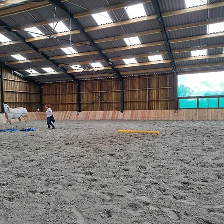 펜션 Le Relais De La Houille Sart-Custinne