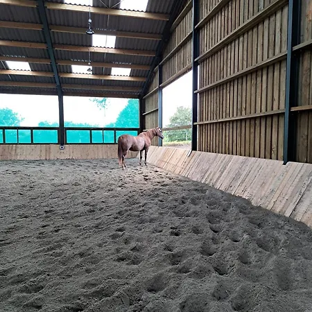 Le Relais De La Houille * Sart-Custinne