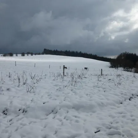 Le Relais De La Houille Sart-Custinne