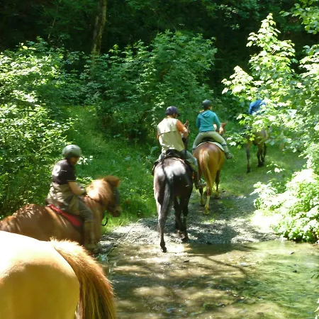 Le Relais De La Houille 펜션 Sart-Custinne