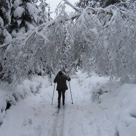 펜션 Le Relais De La Houille *